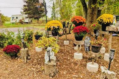 a garden of flowers and plants in pots at Waterfront Comfy Guesthouse, PEC in Carrying Place