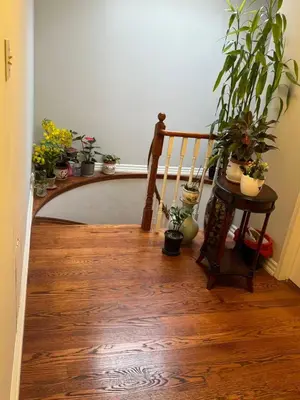 a hallway with potted plants and a wooden floor at Private bedroom 202 in Mississauga