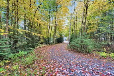 a leaf covered road in a forest with trees at Muskoka Waterfront Cottage with Canoes and Fire Pit in Huntsville