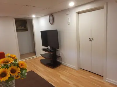 a living room with a television and a vase of flowers at 75 inch high mud house with separate entrance and exit, one bedroom, one living room, private bathroom, there is a cute cat, a few minutes walk to many restaurants, 8 minutes drive to the big waterfall in Niagara Falls