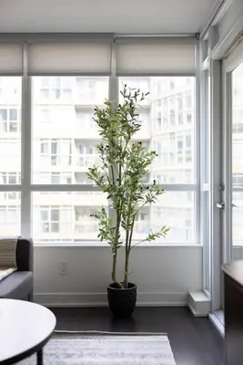 a living room with a potted plant in front of a window at Stylish 1BR Condo with Patio Steps from Waterfront in Toronto
