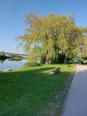 a park bench sitting in the grass next to a lake at Modern 5-bedroom house close to Ardagh Bluffs in Barrie