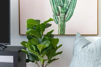 a plant sitting next to a pillow in a living room at Chic Fort York Studio Cozy Retreat in Downtown TO in Toronto
