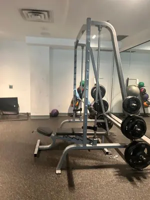 a gym with a treadmill and weights in a room at Luxury Condo with Hottub, outdoor firepit & Bowlin in Kitchener
