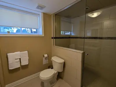a bathroom with a toilet and a glass shower at Red Brickhouse Lakefront Cottage in Brechin