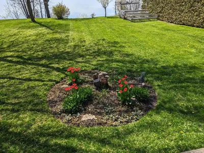 a flower bed with red flowers in the grass at Red Brickhouse Lakefront Cottage in Brechin