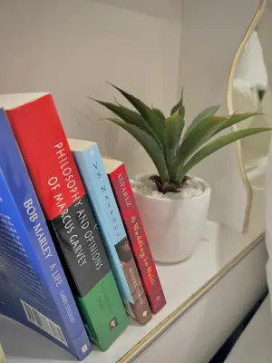 a group of books sitting on a shelf with a plant at Your cozy Caribbean-inspired stay just 1 hour north of Toronto in Alliston