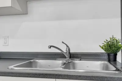 a sink in a kitchen with a potted plant at New 2BD Townhouse Mins from Niagara Falls in Niagara Falls