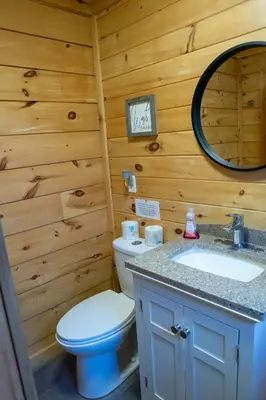a bathroom with a toilet and a sink and a mirror at Winter at Wildwood in Bailieboro
