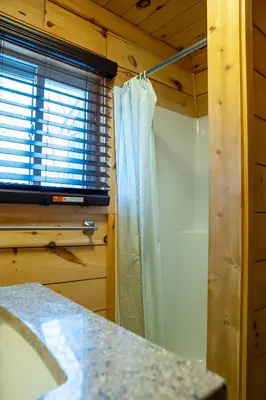 a bathroom with a shower curtain and a window at Winter at Wildwood in Bailieboro