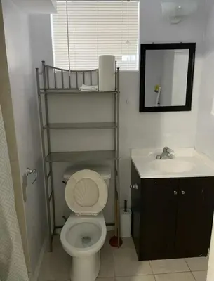 a bathroom with a toilet and a sink at Peace Apartment in Brampton