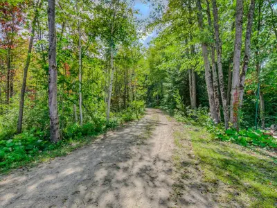 a dirt road in a forest with trees at Private Lakefront Cottage Living on Muldrew Lake in Gravenhurst