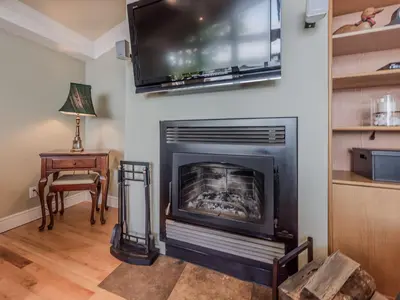 a living room with a fireplace with a flat screen tv at Private Lakefront Cottage Living on Muldrew Lake in Gravenhurst