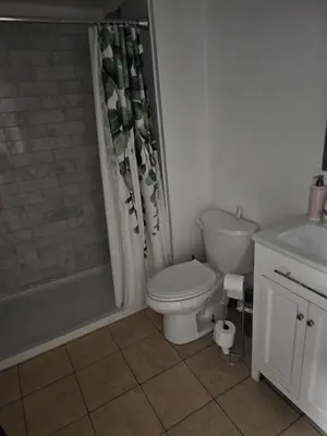 a bathroom with a toilet and a shower and a sink at Toronto Holiday Home in Toronto
