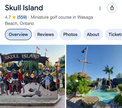 a screenshot of the disneyland website with a picture of the resort at Season Bliss - Blue Mountain Ski & Wasaga Beach in Wasaga Beach