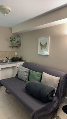 a couch with pillows on it in a room at Cozy Private Basement Suite Beside Plaza Free Parking Walk to Groceries & Dining in Richmond Hill