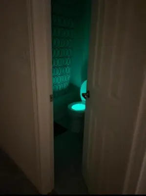 a bathroom with a toilet in a green room at Budget Friendly Home in Oshawa