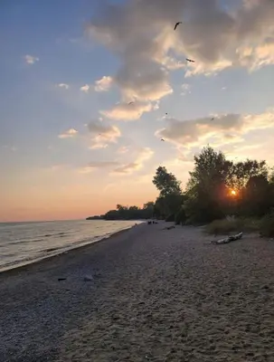 a beach with a flock of birds flying over the water at Soft Landing Spot Basement Hideout 2 bedroom apartment in Ajax