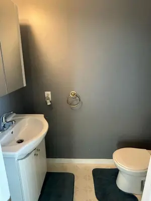 a bathroom with a sink and a toilet at Woodbridge Heritage Home in Vaughan
