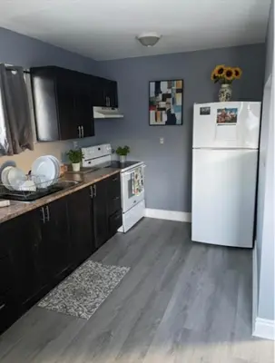 a kitchen with a white refrigerator and black cabinets at Family home in Hamilton
