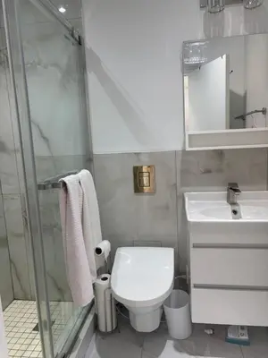 a bathroom with a toilet and a sink and a shower at park inn in Toronto