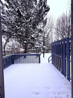 a blue fence covered in snow next to a tree at Cozy Belleville Retreat Near DT & Waterfront in Belleville