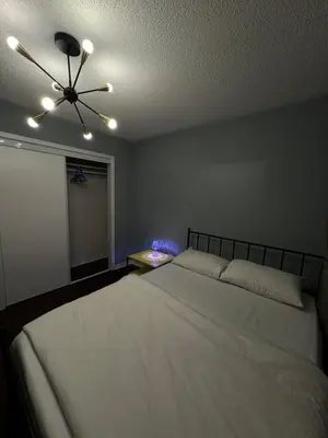a bedroom with a bed and a ceiling fan at Gorgeous Private room in Toronto