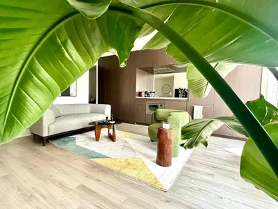 a living room with a couch and a plant at Elegant and Charm Superior Suite Yorkville Toronto in Toronto