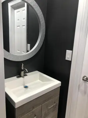 a bathroom with a white sink and a mirror at Cottage getaway in the city, for intimate family gathering in Ajax