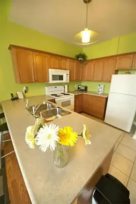 a kitchen with a vase of flowers on a counter at Superior 4 in Niagara Falls