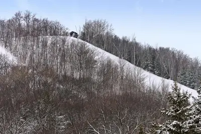 a snow covered hill with trees and a house on it at Mountainside Escape Ski-In-Out Pool Shuttle in Blue Mountains
