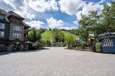 Gallery image of Northern Tranquility Ski-In-Out Pool Shuttle in Blue Mountains