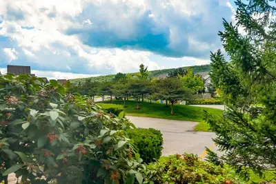 a view of a park with trees and a driveway at Hickory Ridge Across Blue Mtn Hot Tub Shuttle in Blue Mountains