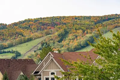 a house in the mountains with fall foliage at Hidden Haven - Shuttle to Blue - Private Patio in Blue Mountains