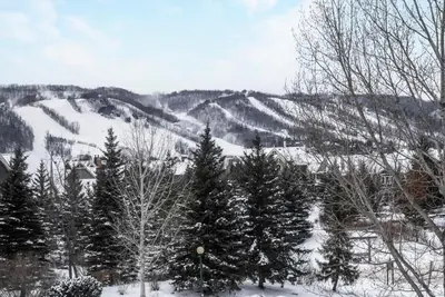 a group of trees in the snow on a mountain at Out of the Blue - Shuttle to Blue Walk & Trails in Blue Mountains