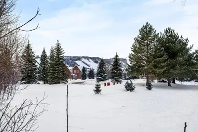 a snow covered yard with trees and a house at Snowy Mountain Summit & Sol - Shuttle - Patio in Blue Mountains
