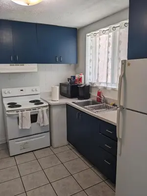 a kitchen with blue cabinets and a white refrigerator at Private Room In Hamilton 2 in Hamilton