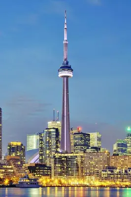Gallery image of Stylish and Cozy 1BR plus Den Downtown with Free Parking in Toronto