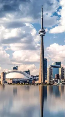 Gallery image of Stylish and Cozy 1BR plus Den Downtown with Free Parking in Toronto