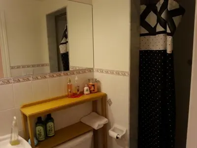 a bathroom with a sink and a mirror at Maria's Homestay in Thornhill