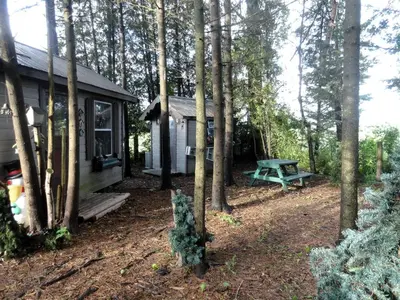 a small cabin with a picnic table in the woods at Cute Cozy Tiny House Surrounded by Trees for a Unique Couples Escape in Mt Forest, Ontario in Mount Forest