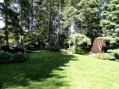 a yard with a tent in the middle of a forest at Cute Cozy Tiny House Surrounded by Trees for a Unique Couples Escape in Mt Forest, Ontario in Mount Forest