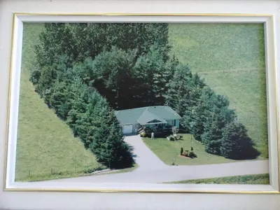 a painting of a house in the middle of trees at Cute Cozy Tiny House Surrounded by Trees for a Unique Couples Escape in Mt Forest, Ontario in Mount Forest