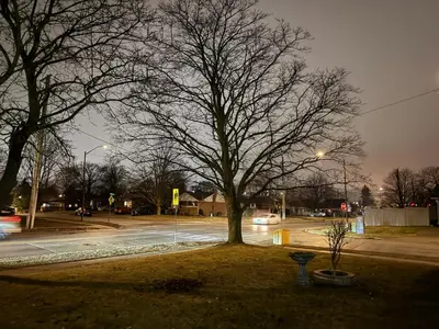 a tree on the side of a street at night at Hespeler Haven Hideaway in Cambridge