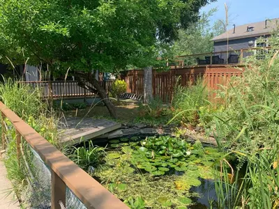 a garden with a pond with lilies and a wooden bridge at 3 BDR lake Simcoe cottage-free parking -day pass to provincial park-one hour from Toronto in Georgina