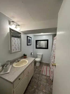 a bathroom with a sink and a toilet at 1 Bedroom Apartment Owen Sound in Owen Sound