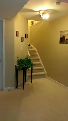 a hallway with stairs and a table with a plant at HB Guest Home 3 in Waterloo