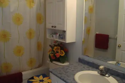 a bathroom with a sink and a toilet and a mirror at HB Guest Home 3 in Waterloo