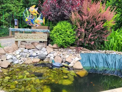 a pond in a garden with a bench and flowers at Charlotte Garden Bed and Breakfast in Niagara on the Lake