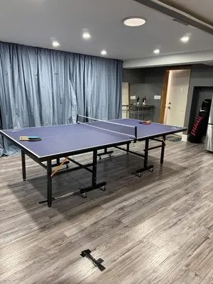 a ping pong table in the middle of a room at Nature & Comfort - Private Manor in Innisfil